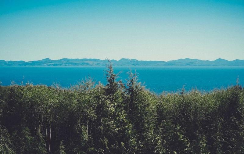 Dense evergreen treetops above a wide calm blue lake with hazy mountains on the horizon